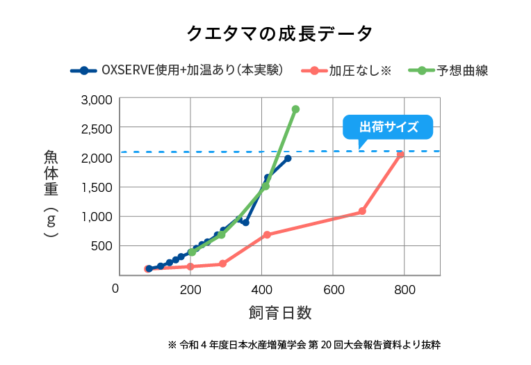 クエタマの成長比較(OGL加温と通常飼育)