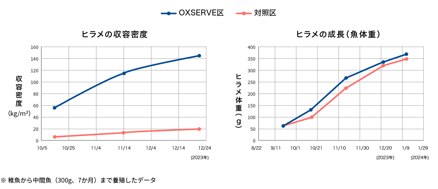 ※ 稚魚から中間魚(300g、7か月)まで養殖したデータ