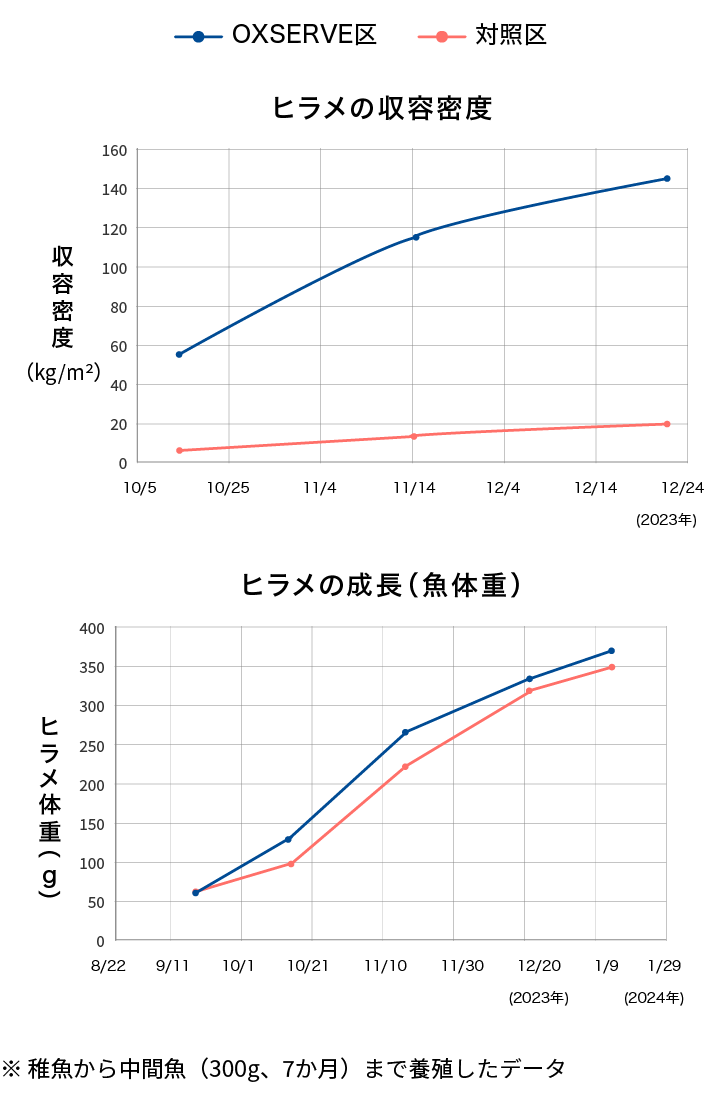 ※ 稚魚から中間魚(300g、7か月)まで養殖したデータ