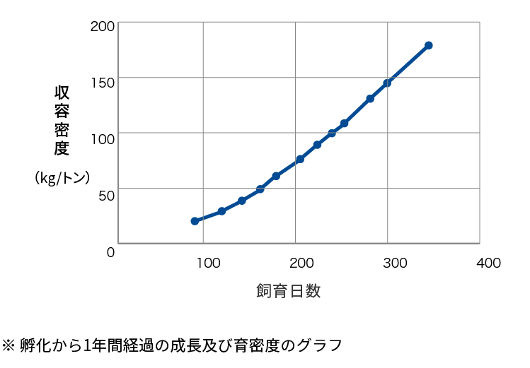 ※ 孵化から1年間経過の成長及び育密度のグラフ
